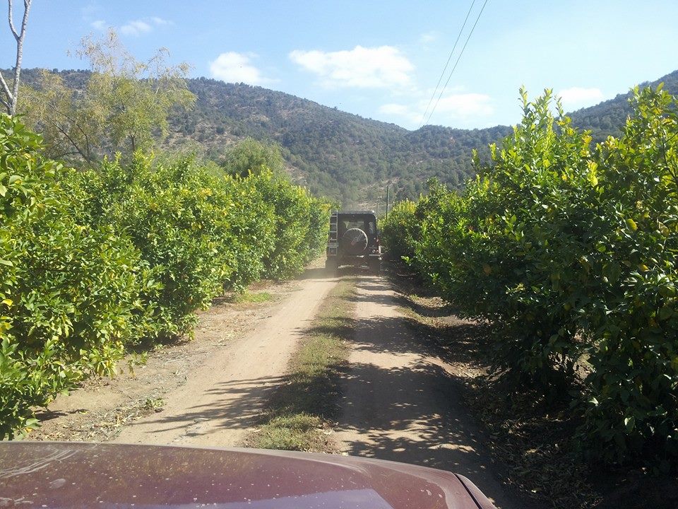 Colchagua